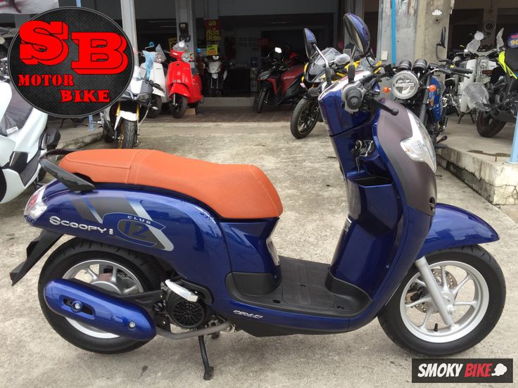 Honda Scoopy 110 2025 สีใหม่ พร้อมสเปคและราคา