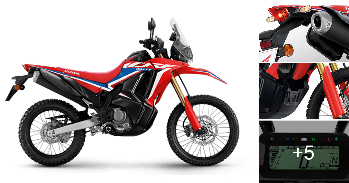 รีวิว Honda Crf300rally 2025 เพิ่มสีใหม่ ราคาเดิม